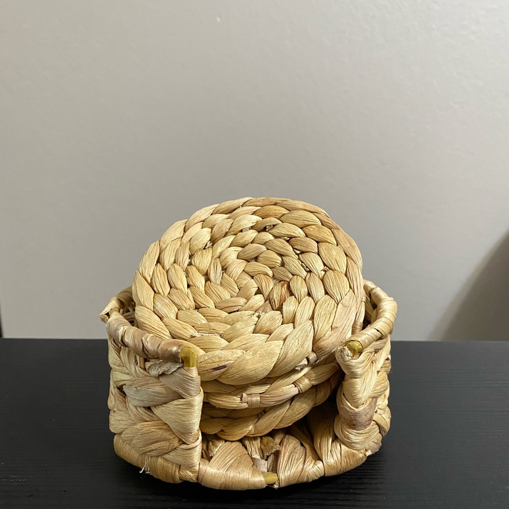 Natural Woven Coaster Set